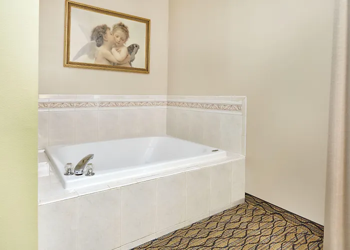 Hotel Express & Chicago-libertyville By Ihg 2*